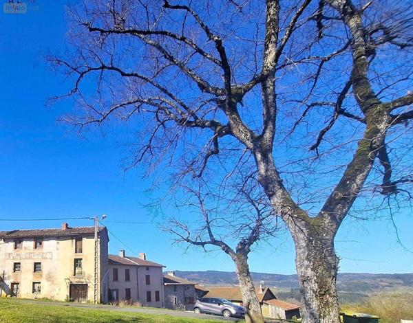 Maison à vendre à Saint-Amant-Roche-Savine dans le Puy-de-Dôme (63890), ref : 2025-39-2025117