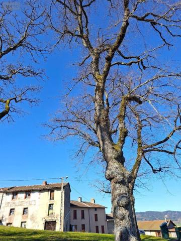 Maison à vendre à Saint-Amant-Roche-Savine dans le Puy-de-Dôme (63890), ref : 2025-39-2025117