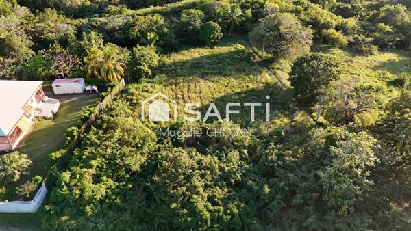 Terrain sur Marie -Galante