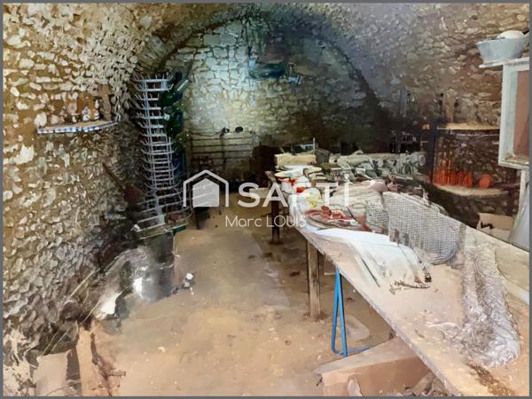 Pièce voûtée / locatif