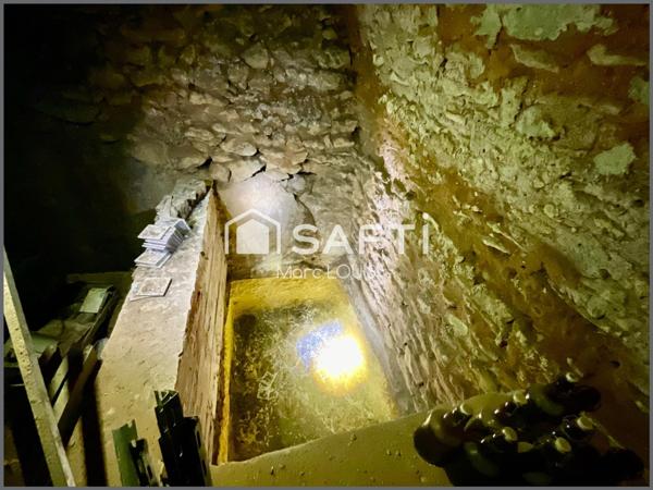 Pièce voûtée / locatif