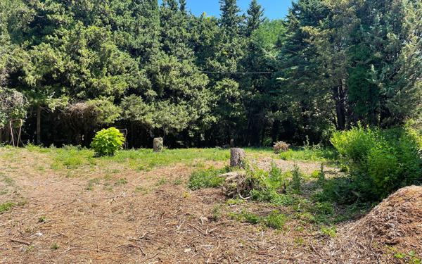 Terrain à vendre    Rochefort-en-Valdaine