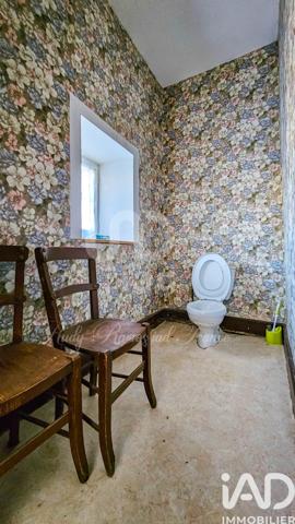 Maison à vendre 11 pièces 350 m² Sévérac d'Aveyron