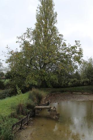 COULEUVRE - MAISON D'HABITATION AVEC ENVIRON 2300 M2 DE TERRAIN COMPRENANT UN PETIT ÉTANG.