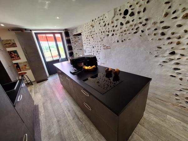 Charmante maison Gasconne 145m² Habitable avec 185m² de dépendances sur 1300m² de terrain