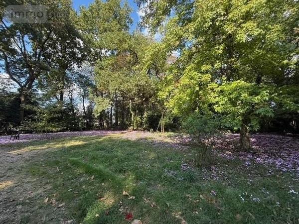 Maison à vendre à Bouchemaine dans le Maine-et-Loire (49080), ref : 49012-2039