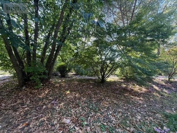 Maison à vendre à Bouchemaine dans le Maine-et-Loire (49080), ref : 49012-2039