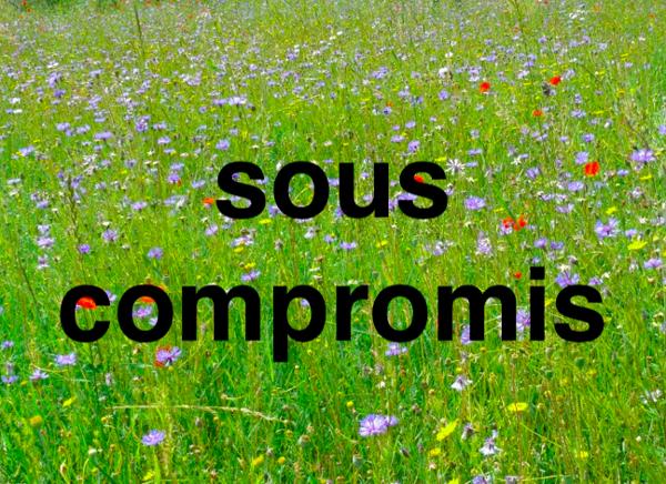 Terrain libre de constructeur 430 M2. Budget 77 500€