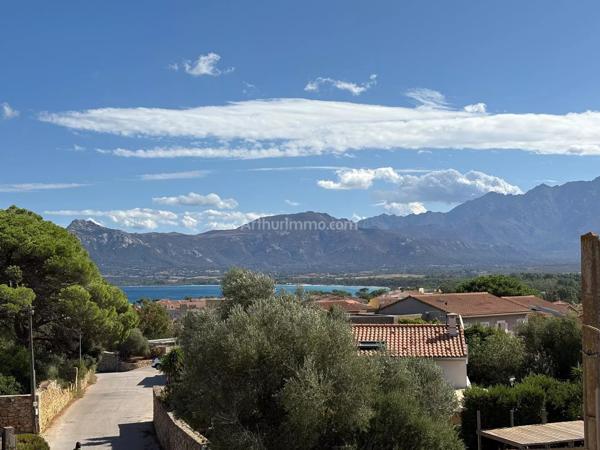Vente                                                      Appartement
                        
                     3 pièces                      75 m2                     à Calvi