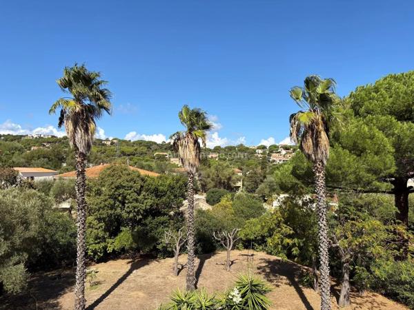 Vente                                                      Appartement
                        
                     3 pièces                      75 m2                     à Calvi