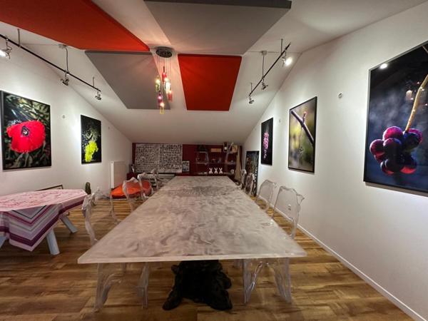 Maison à MONTAUBAN, 82000 - 10 pièces 481m²