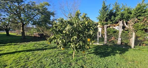 Maison de caractère en pierres, 140 m2 habitables, 3 chambres, hangar sur terrain clos