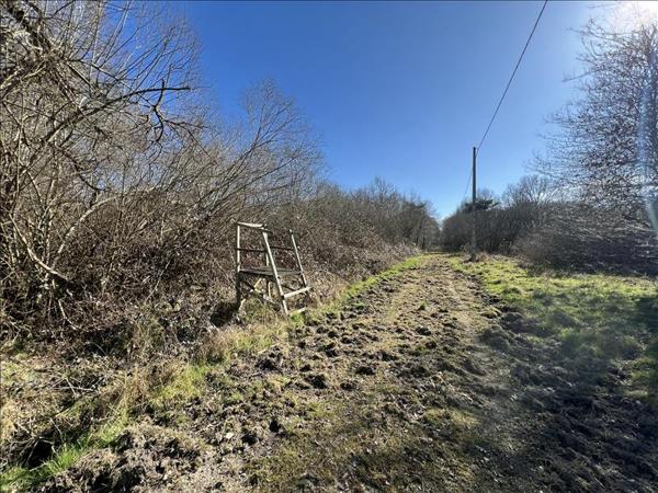 Maison à vendre |  Salbris |  3 pièces | 84 m²