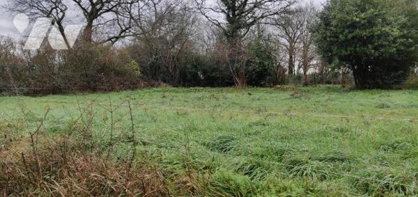 TERRAIN CONSTRUCTIBLE PONTCHATEAU