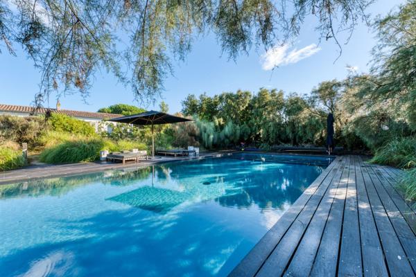 Île de Ré - Les Portes - Propriété d'exception vue océan