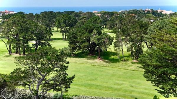 Vente / Appartement T3