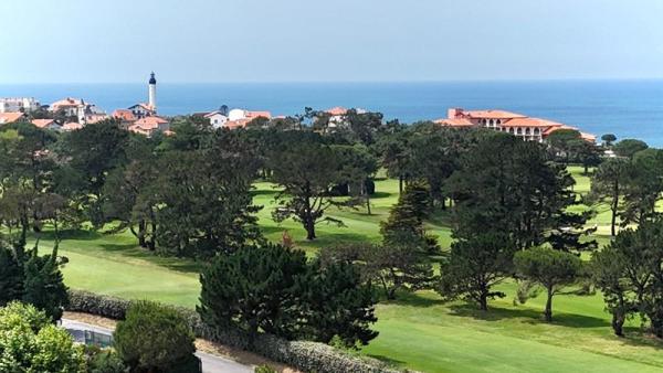 Vente / Appartement T3