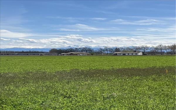 Terrain à vendre |  Calmont |  1369 m²