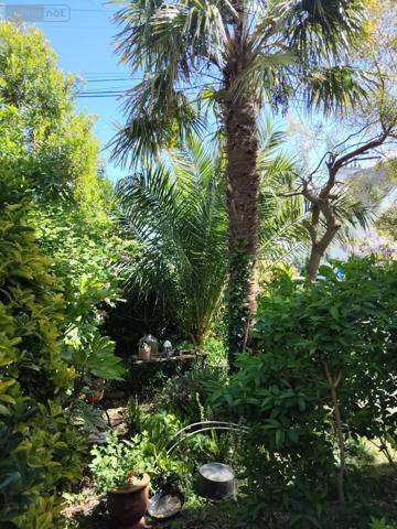 Achat - Maison Morlaix 29600 6 pièces 120 m 2 286 m 2