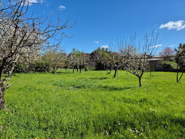 ALBI, terrain plat à Bâtir