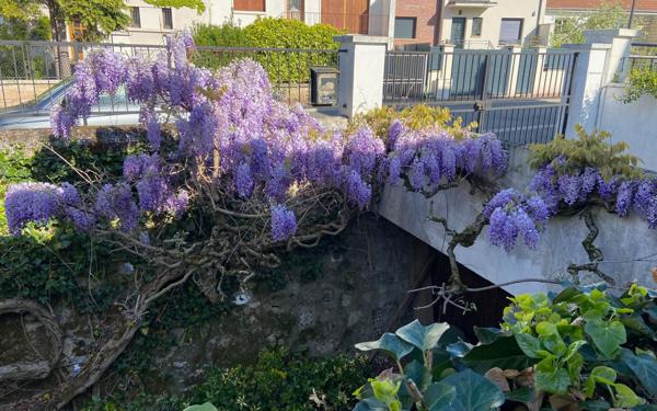 Maison à vendre    7 pièces • 132,81 m2 Antony