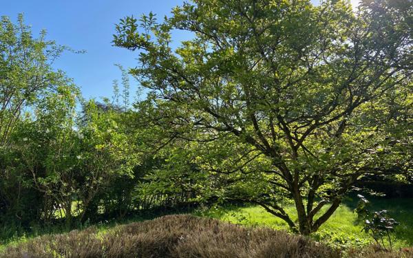 Maison à vendre    7 pièces • 132,81 m2 Antony