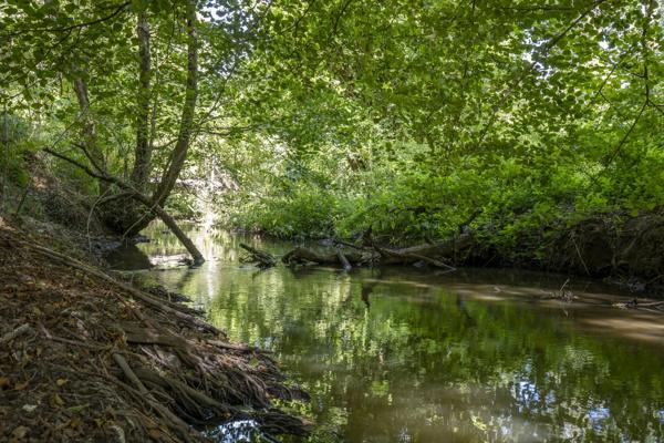 Moulin Rambouillet - YVELINES
