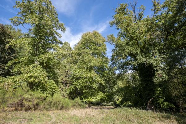 Moulin Rambouillet - YVELINES