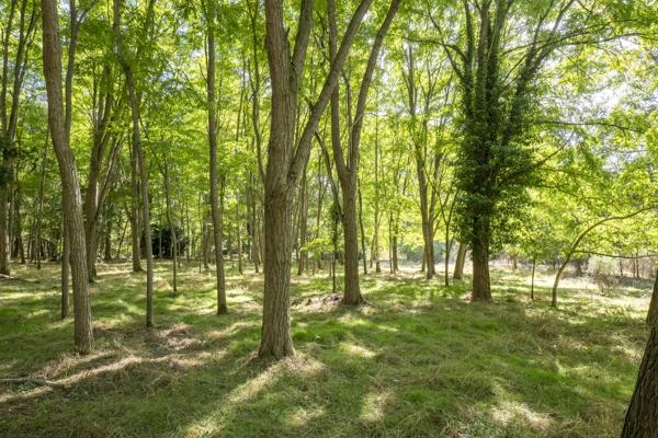 Moulin Rambouillet - YVELINES