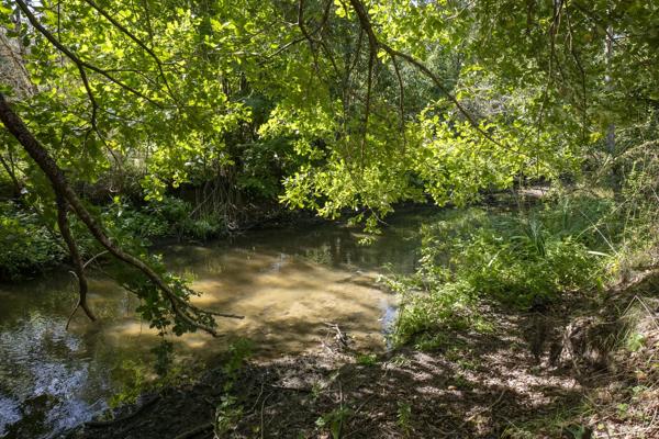 Moulin Rambouillet - YVELINES