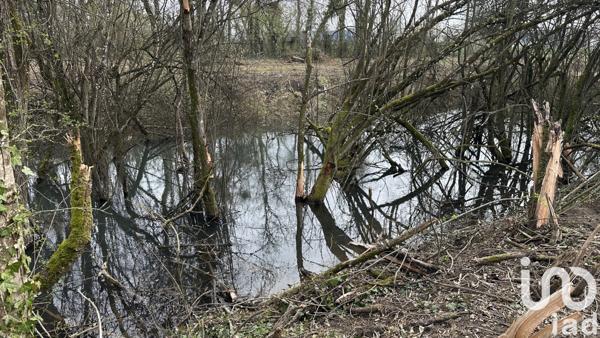 Land for sale 10 000 m² Saint-Parres-lès-Vaudes