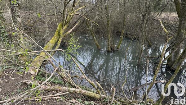 Land for sale 10 000 m² Saint-Parres-lès-Vaudes