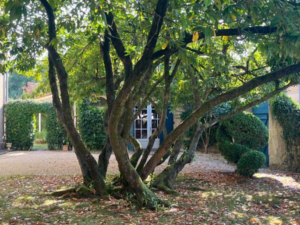 Marciac (32) ELEGANTE MAISON DE MAITRE, sans travaux, avec maison d'artistes ou gîte, parc séculaire clos de murs