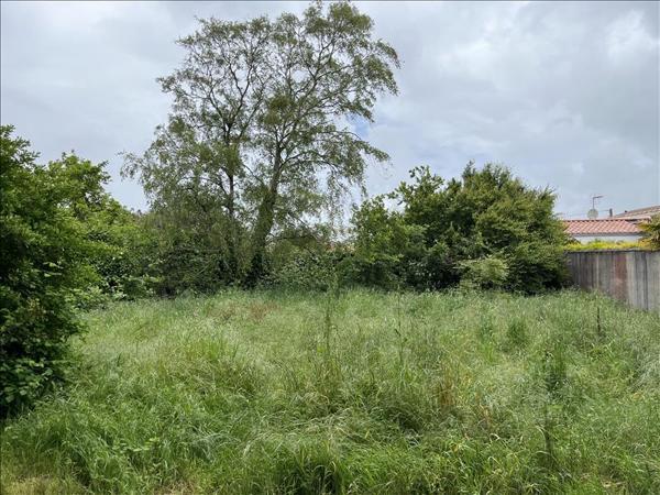 Terrain à vendre |  La Rochelle |  481 m²