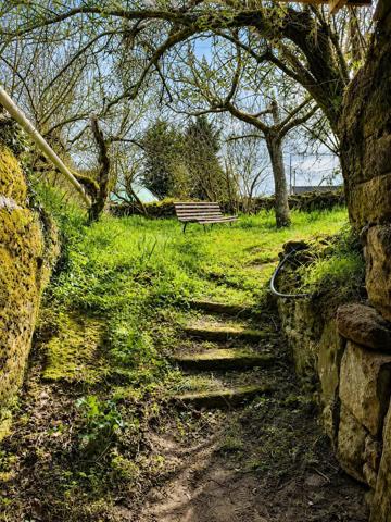 Terrain de loisirs avec chalet, cave à Chinon (37500)
