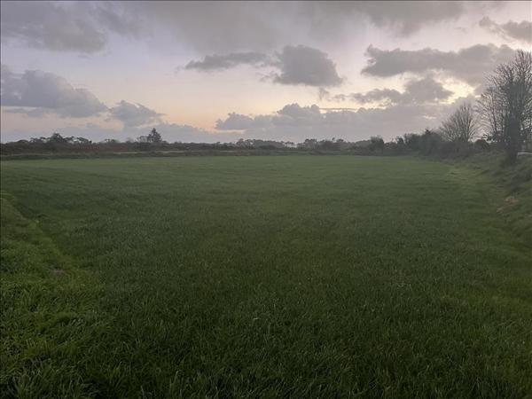 Terrain à vendre |  Plouhinec |  4000 m²