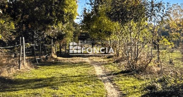 À vendre Maison 7 pièces 338 m² - Saint-nicolas-de-la-grave 82210