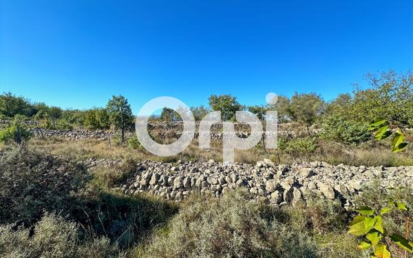 Terrain à vendre    Ruoms