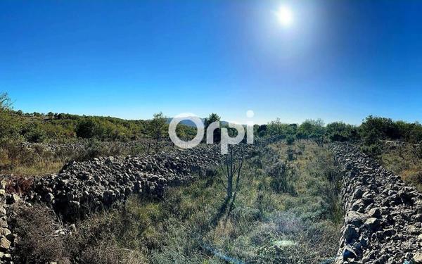 Terrain à vendre    Ruoms