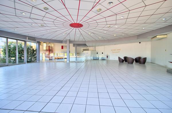 Ensemble immobilier aux portes d'Agen - Local commercial avec atelier de 1500 m² , Maison de 170m2 avec piscine et terrain constructible de 3050m2