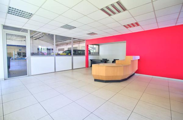 Ensemble immobilier aux portes d'Agen - Local commercial avec atelier de 1500 m² , Maison de 170m2 avec piscine et terrain constructible de 3050m2