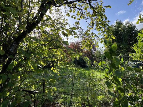 Terrain à vendre 35 000 € Ruelle-sur-Touvre 700 m² DPE