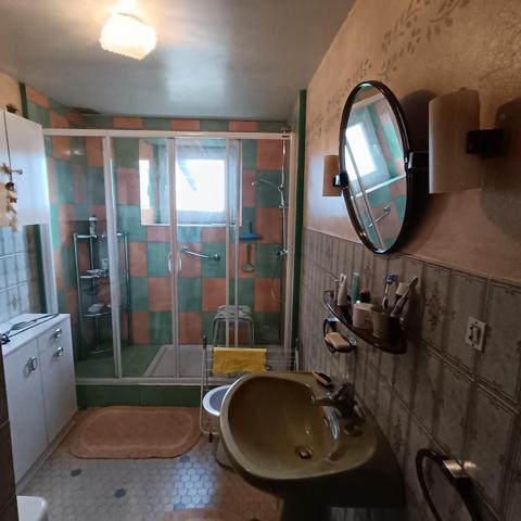 Ferme à rénover avec garage, hangar, et terrain.