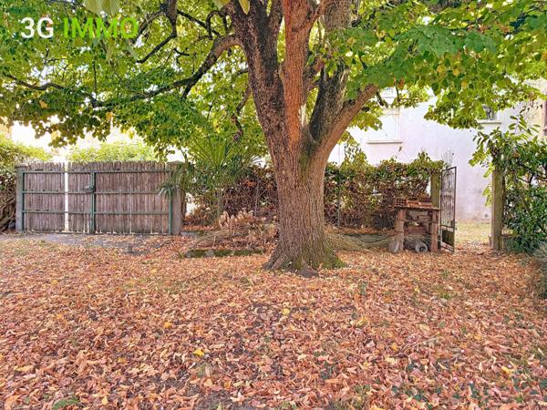 Vente / Maison et grand terrain