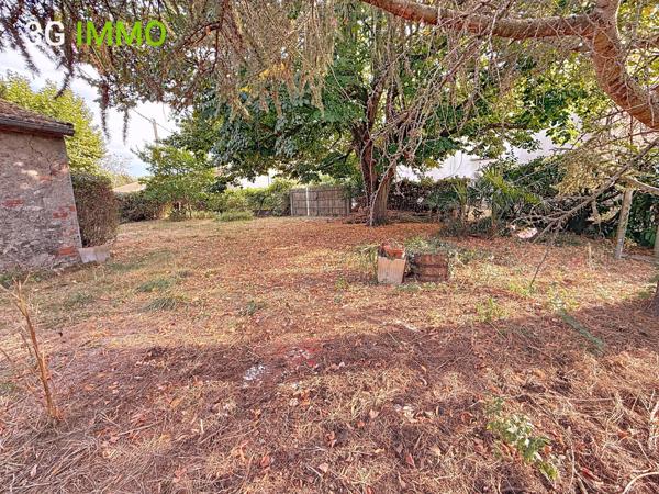 Vente / Maison et grand terrain
