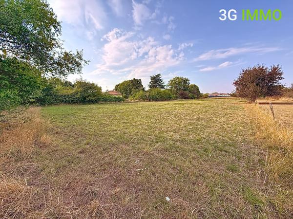 Vente / Maison et grand terrain