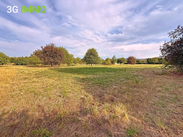 Vente / Maison et grand terrain