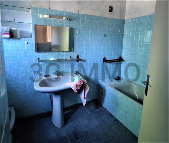 Vente / Maison et grand terrain