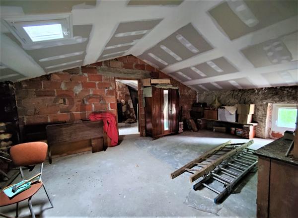 Vente / Maison et grand terrain