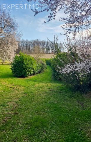 Verteillac (24320) Viager libre et un viager occupé pour cet ensemble immobilier type longère de deux logements Homme de 73 ans